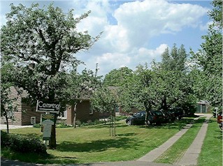 De boomgaard